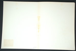 Los 3336 - Vaccari, Franco - Esposizione in tempo reale - 8 - thumb