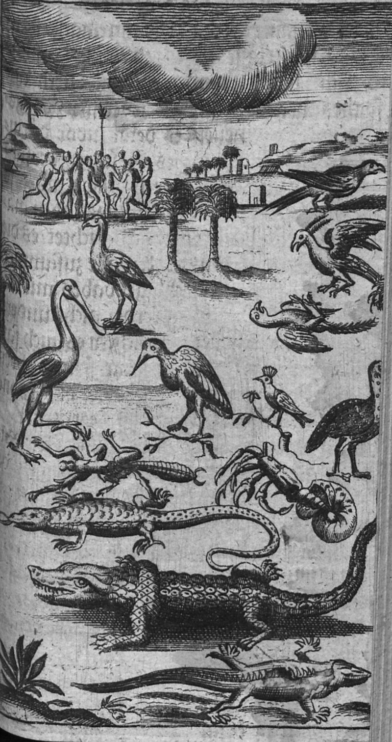 Lot 64, Auction 127, Blome, Richard, Englisches America oder kurtze doch deutliche Beschreibung