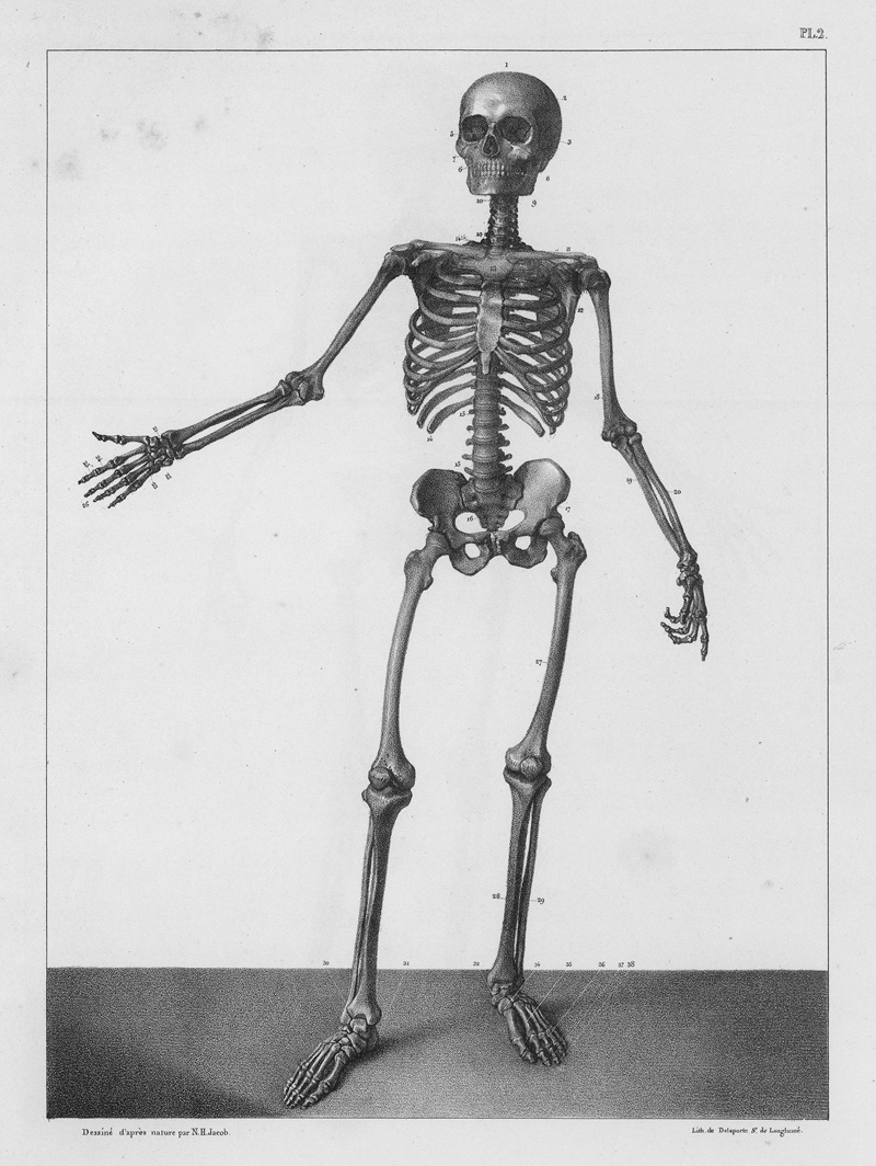 Lot 304, Auction 127, Bourgery, Jean Marc, Traité complet de l'anatomie de l'homme