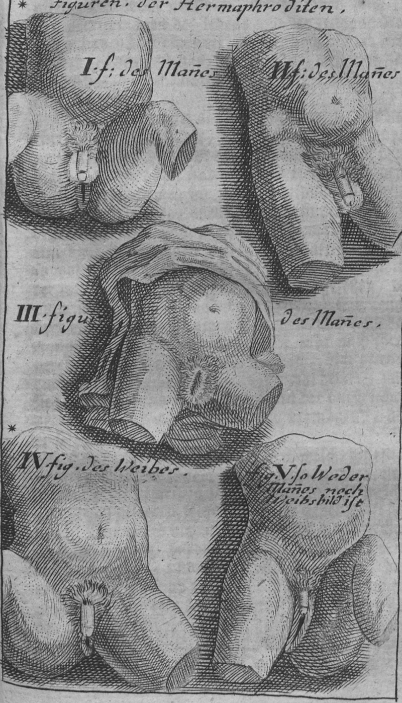 Lot 327, Auction 127, Venette, Nicolas, Von Erzeugung der Menschen