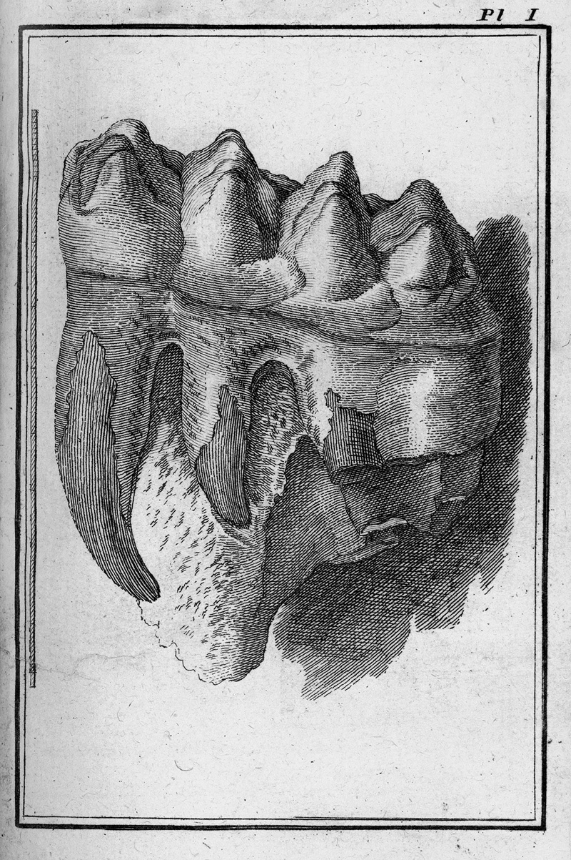 Lot 329, Auction 127, Buffon, Georges Louis Leclerc Comte de, Les époques de la nature