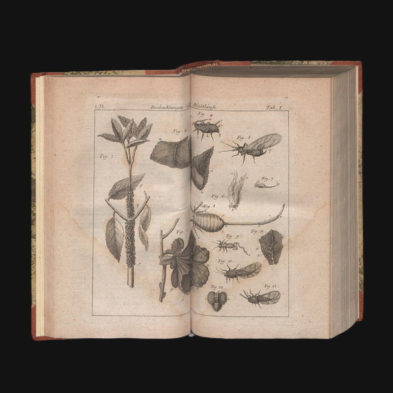 Lot 345, Auction 127, Bonnet, Charles, Abhandlungen aus der Insektologie