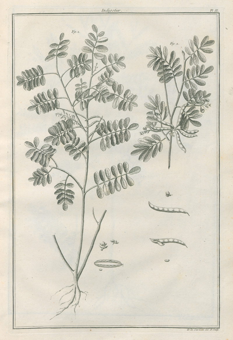 Lot 381, Auction 127, Beauvais-Raseau, Paul de, L'art de l'indigotier