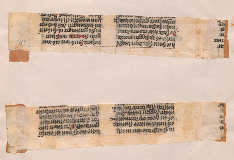 Lot 1009, Auction  127, Canticum canticorum, 2 Fragmente aus einem Kommentar zum Hohenlied Salomonis. Mittelniederländische Handschrift auf Pergamen