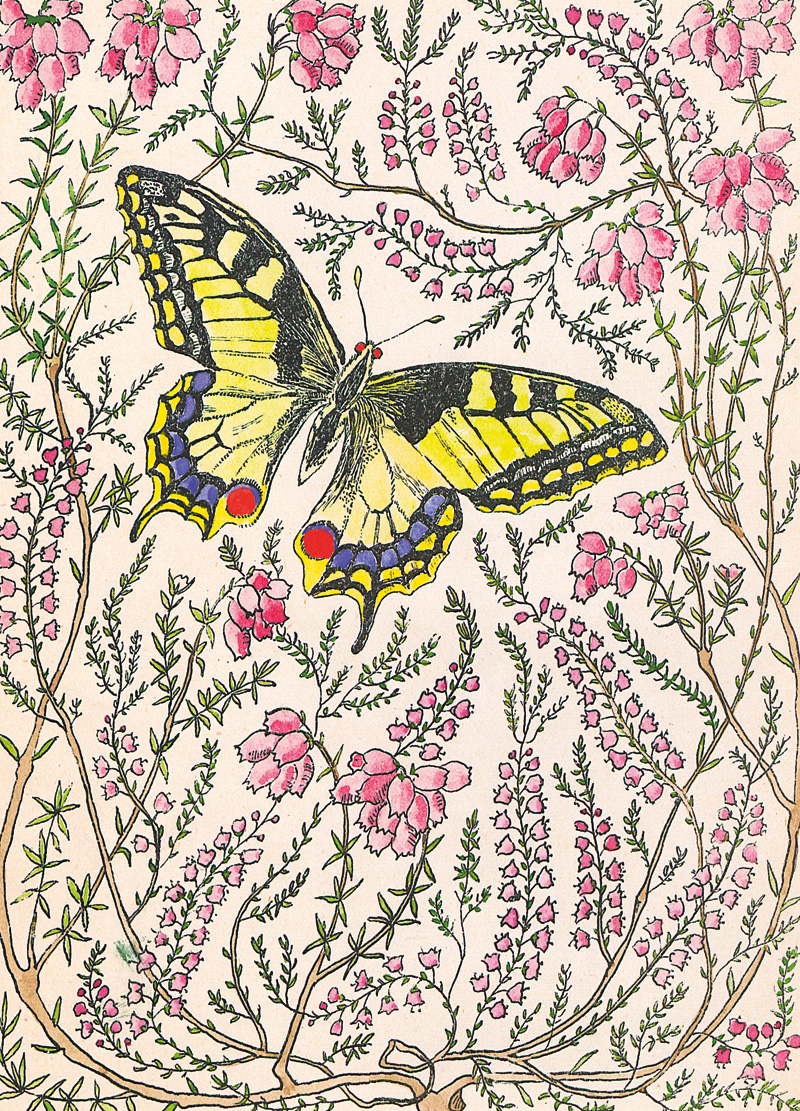 Lot 3092, Auction  127, Ernst, Else, Bilder und Geschichten aus dem Leben der Kerfe