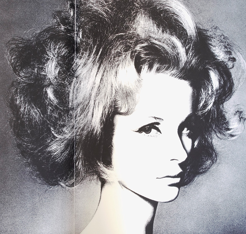 Lot 3395, Auction 127, Capote, Truman und Avedon, Richard - Illustr., Observations